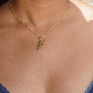 collection trésors des Îles (copie)