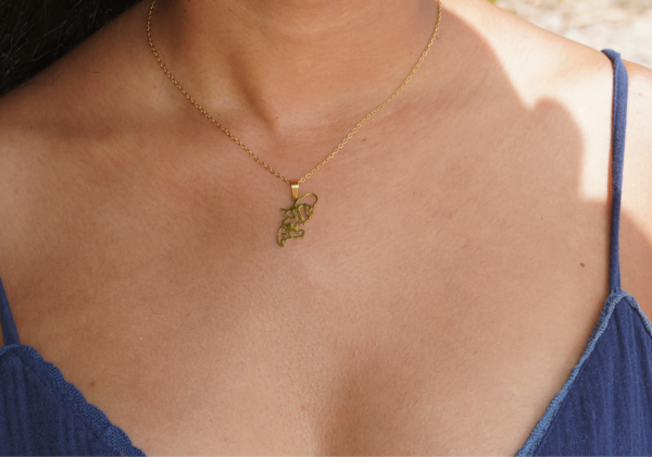 collection trésors des Îles (copie)