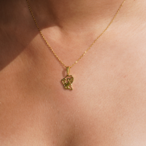 collection trésors des Îles (copie)